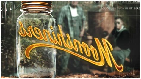 what streaming service has moonshiners